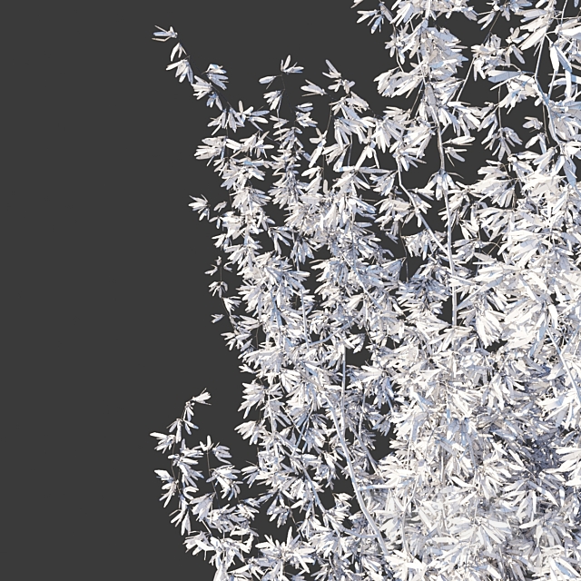 Forsythia Medium _ Forsythia intermedia 3dsMax Model - thumbnail 3