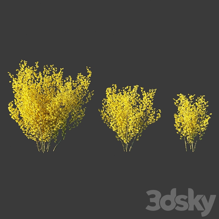 Forsythia Medium \/ Forsythia intermedia 3DS Max - thumbnail 1