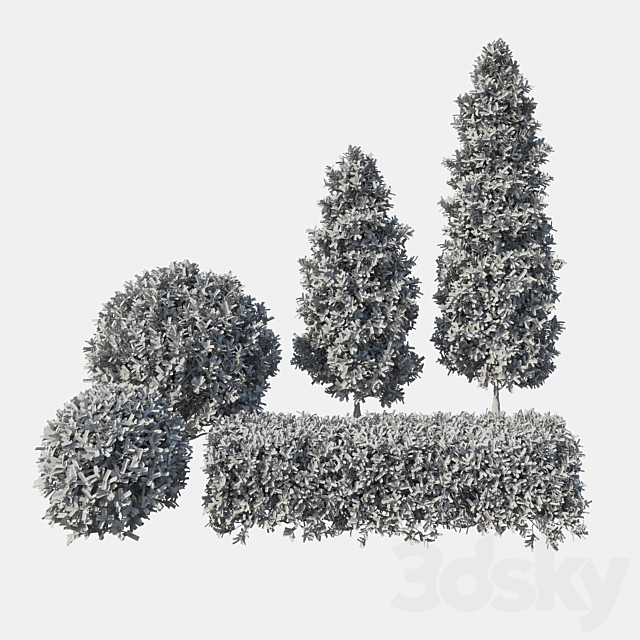 Garden Plant Set 02 Ficus annulata. 3DSMax File - thumbnail 5