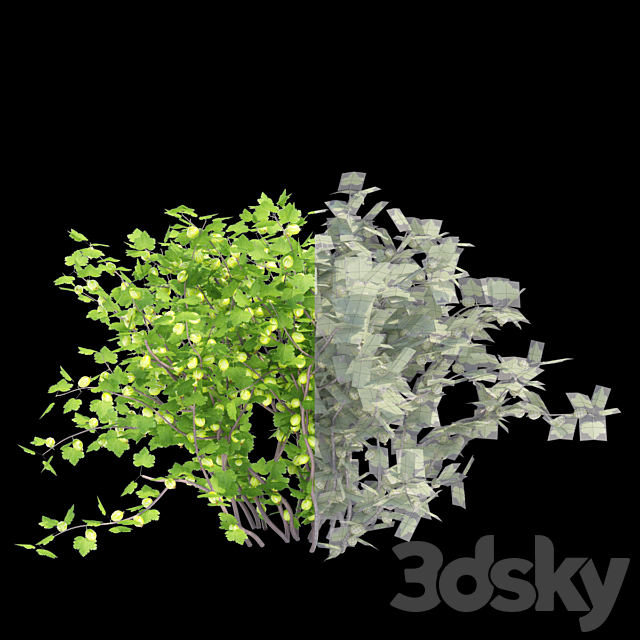 Gooseberry bushes | Gooseberry 3DS Max Model - thumbnail 2