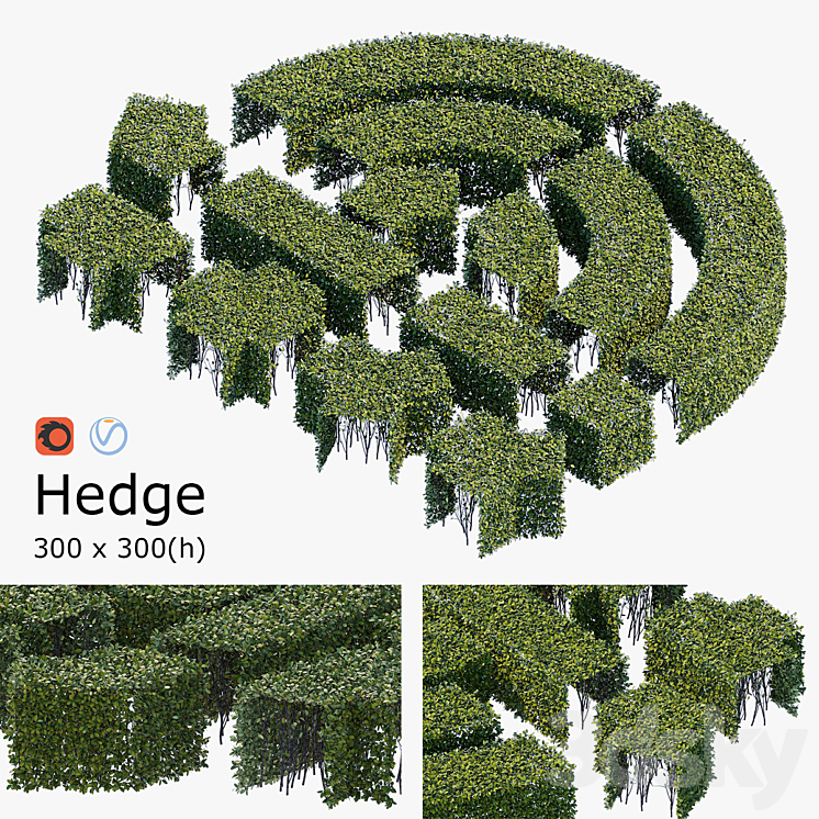 Hedge 3×3 3DS Max - thumbnail 1