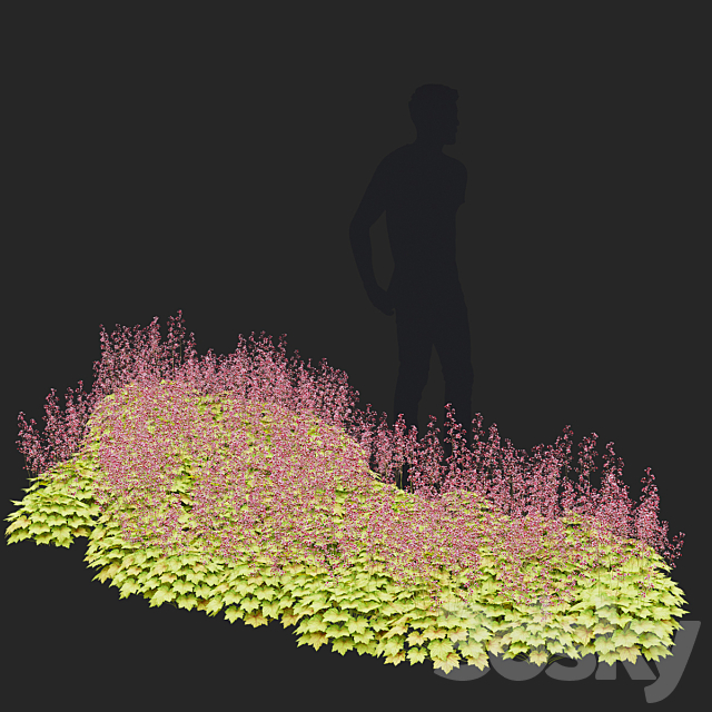 Heuchera hybrid flowers | Heuchera hybrida #2 3ds Max - thumbnail 3