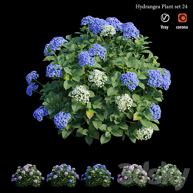 Hydrangea Plant set 24 3DSMax File - thumbnail 4