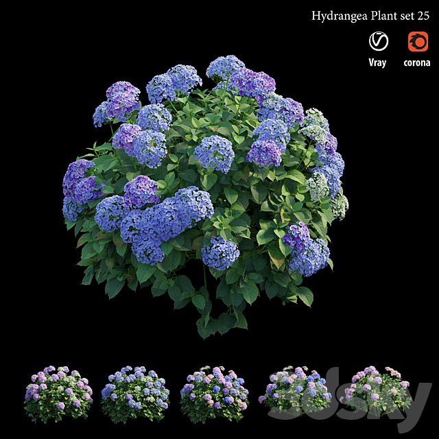 Hydrangea Plant set 25 3DS Max Model - thumbnail 2