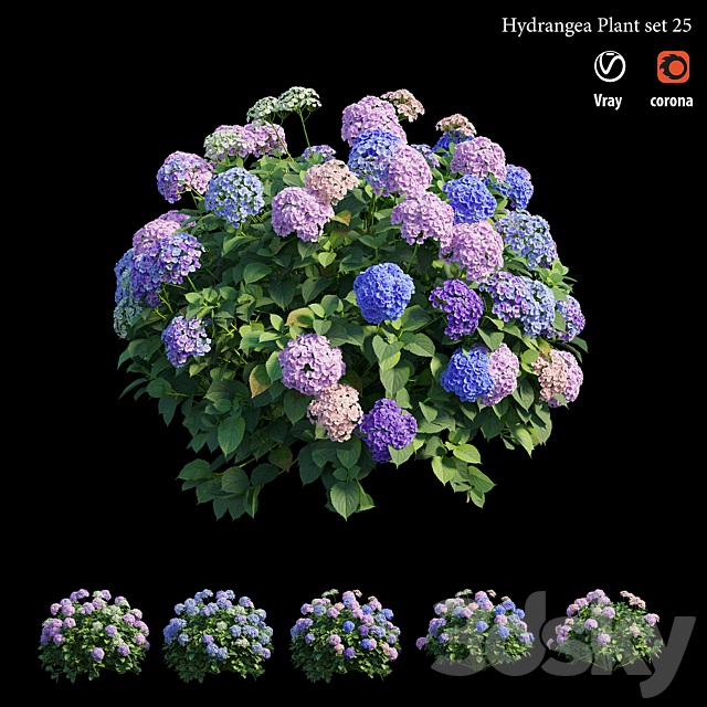 Hydrangea Plant set 25 3DS Max Model - thumbnail 3