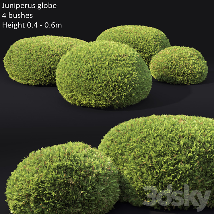 Juniperus Globe 3DS Max - thumbnail 1