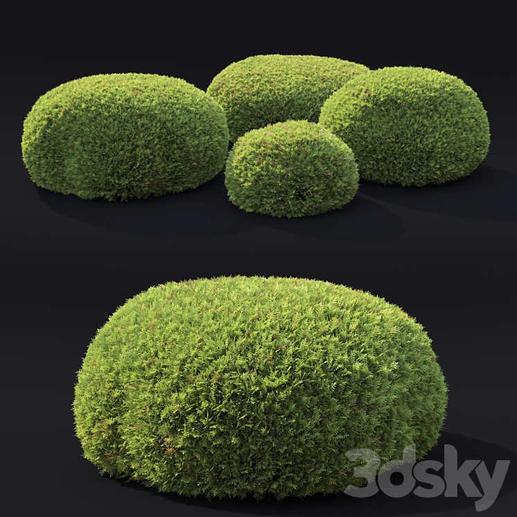 Juniperus Globe 3DS Max - thumbnail 2