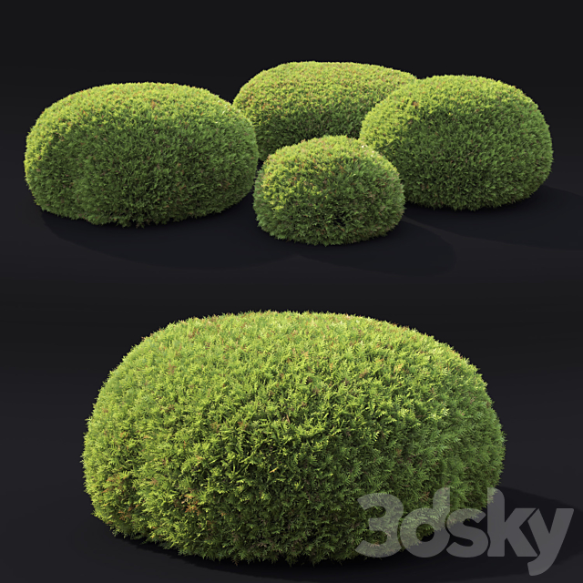 Juniperus Globe 3DSMax File - thumbnail 2