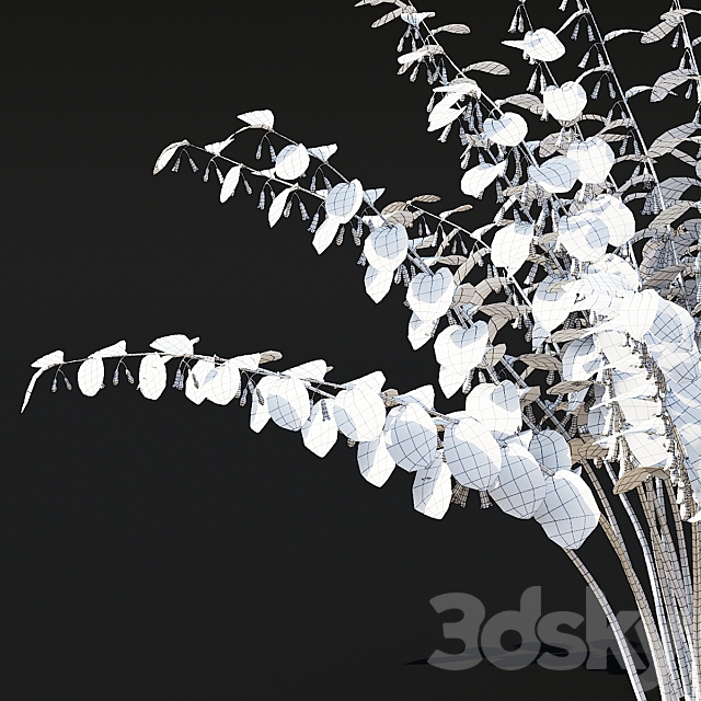 Kupena flowers | Polygonatum 3DS Max Model - thumbnail 5