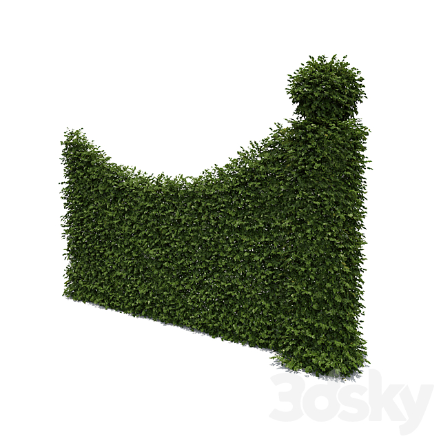 Living fence 3DSMax File - thumbnail 1