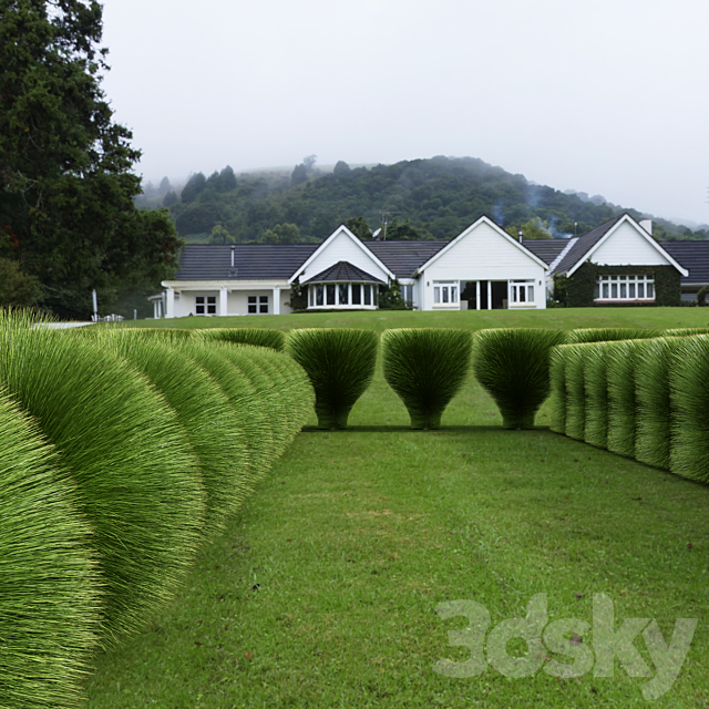 Maiden Grass Miscanthus sinensis Gracillimus Tuin Grassen 3ds Max - thumbnail 3