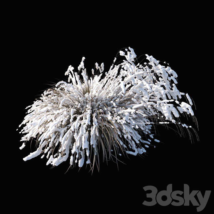 Miscanthus sinensis winter model 3DS Max - thumbnail 2