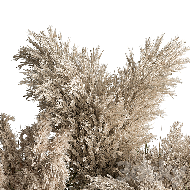 Mixed Pampas Plant Bush Set 95 3DSMax File - thumbnail 4