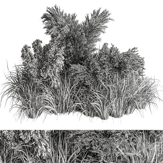 Mixed Pampas Plant Bush Set 95 3DSMax File - thumbnail 5