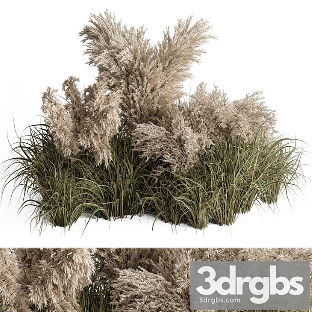 Mixed pampas plant bush set 95 - thumbnail 1