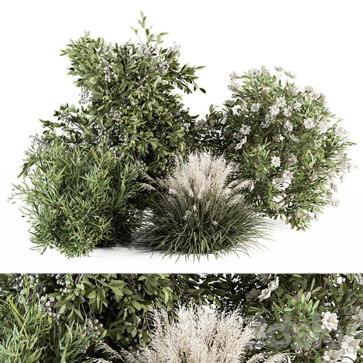 Mixed Plant Bush – Bush Set 49 3DS Max Model - thumbnail 1
