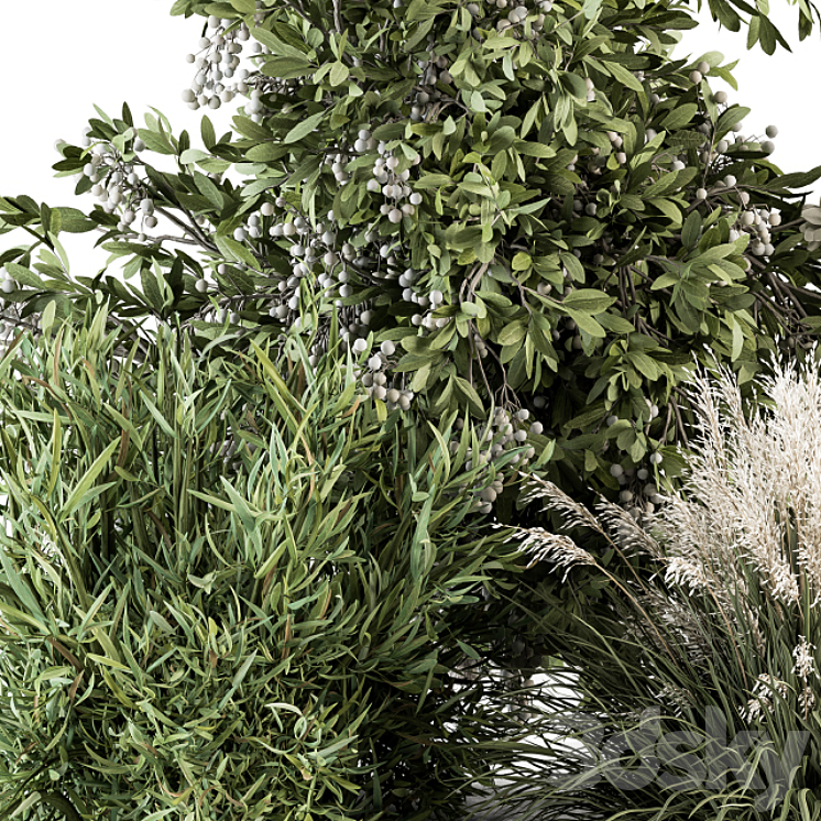 Mixed Plant Bush – Bush Set 49 3DS Max - thumbnail 2