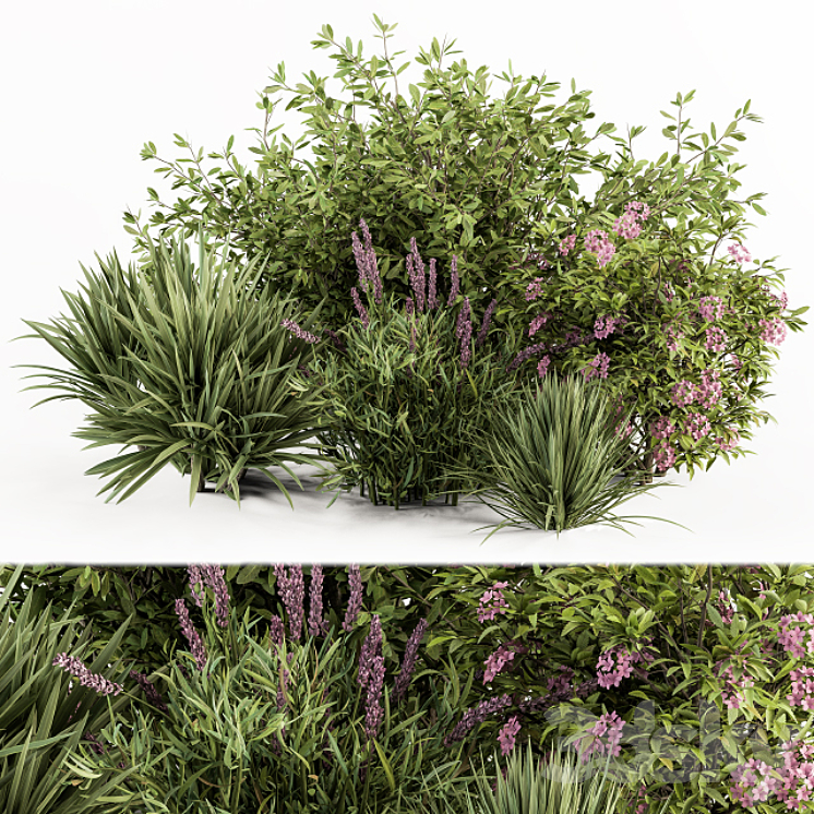 Mixed Plant Bush Green and Purple – Bush Set 50 3DS Max Model - thumbnail 1