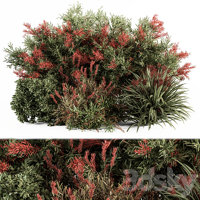 Mixed Plant Bush Green and Red – Bush Set 51 3ds Max - thumbnail 1