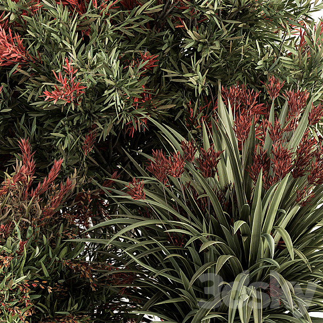 Mixed Plant Bush Green and Red – Bush Set 51 3ds Max - thumbnail 3