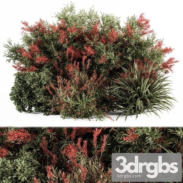 Mixed plant bush green and red – bush set 51 - thumbnail 1