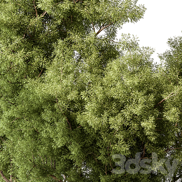 Mixed Plant Bush Set 105 3DS Max Model - thumbnail 2