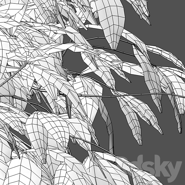 Nandina Domestica Pygmaea – Dwarf Sacred Bamboo 3DS Max Model - thumbnail 3