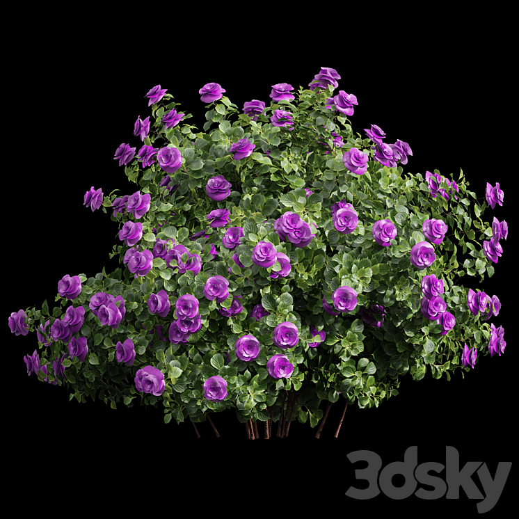 New Plant High detail Climbing Roses Bush 3DS Max Model - thumbnail 2