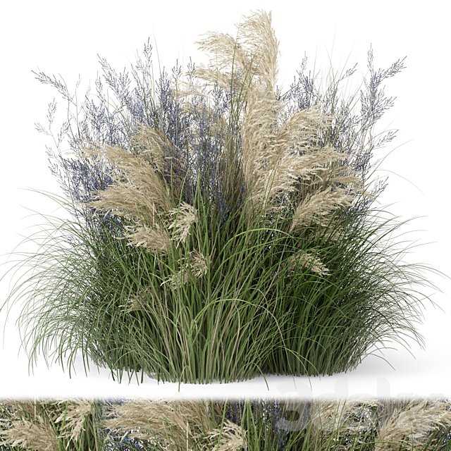 Outdoor Plants Bush-Bush Set 1135 3ds Max - thumbnail 1