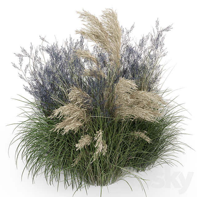 Outdoor Plants Bush-Bush Set 1135 3ds Max - thumbnail 2