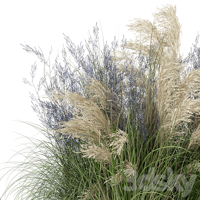 Outdoor Plants Bush-Bush Set 1135 3ds Max - thumbnail 3