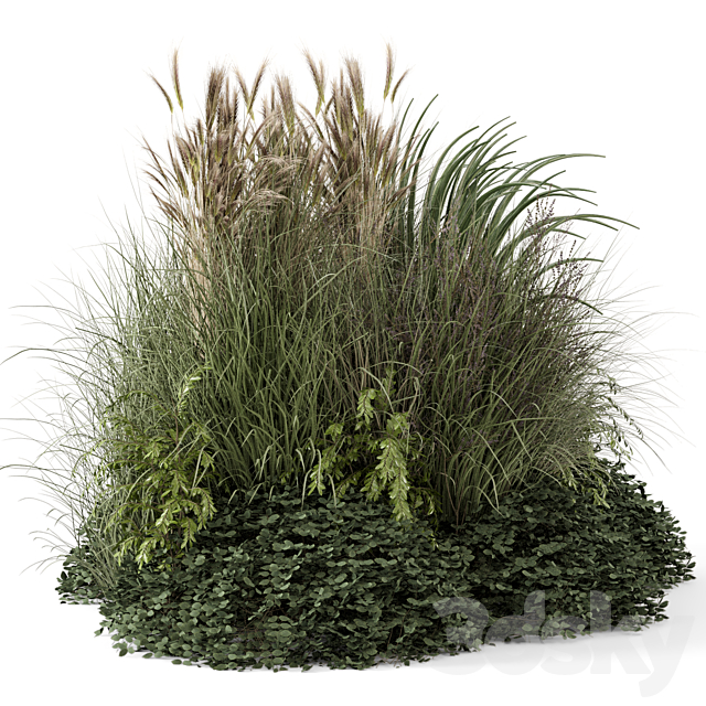 Outdoor Plants Bush-Bush Set 1644 3ds Max - thumbnail 1