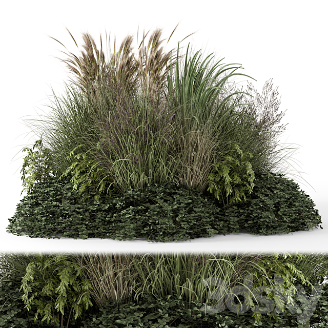 Outdoor Plants Bush-Bush Set 1644 3ds Max - thumbnail 2