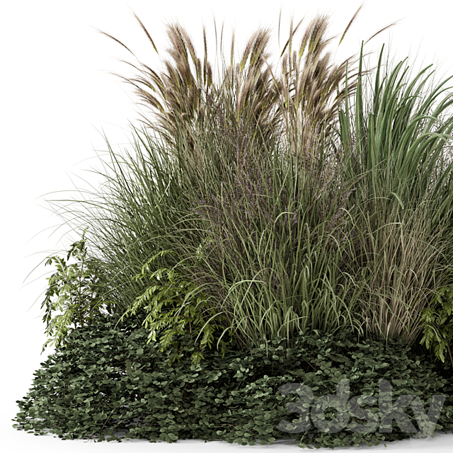 Outdoor Plants Bush-Bush Set 1644 3ds Max - thumbnail 3