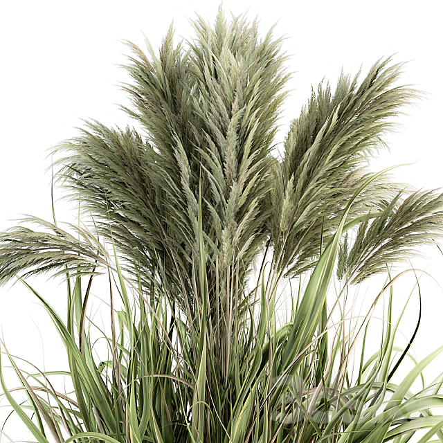 Pampas Bush – Bush Set 21 3DS Max Model - thumbnail 4