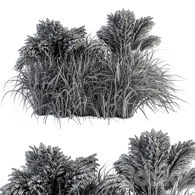 Pampas Bush – Bush Set 21 3DS Max Model - thumbnail 5