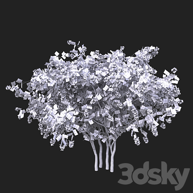 Philadelphus (shrub) 3DSMax File - thumbnail 4