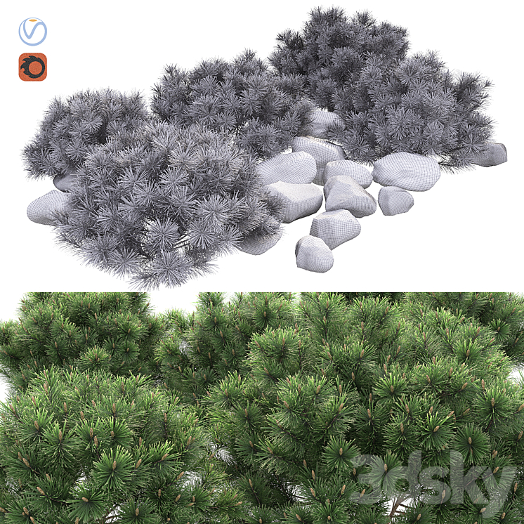 Pine 3DS Max - thumbnail 2