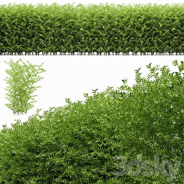 plant 19 3DS Max Model - thumbnail 1