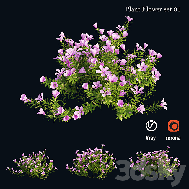 Plant Flower set 01 3DS Max Model - thumbnail 3