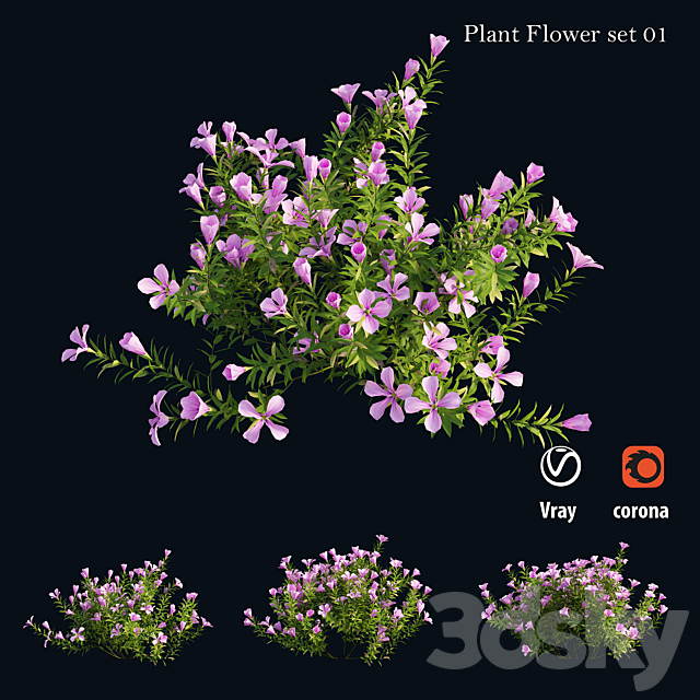 Plant Flower set 01 3DS Max Model - thumbnail 4