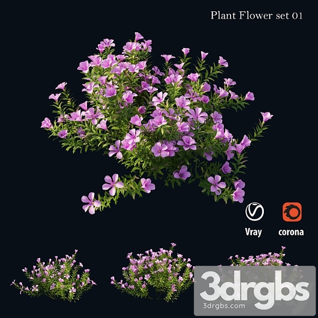 Plant Flower Set 01 3dsmax Download - thumbnail 1