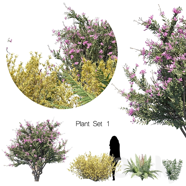 Plant set 1 3ds Max - thumbnail 1