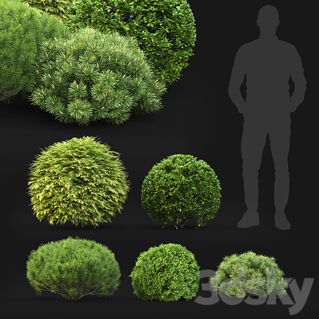 Plant set 3DS Max Model - thumbnail 2