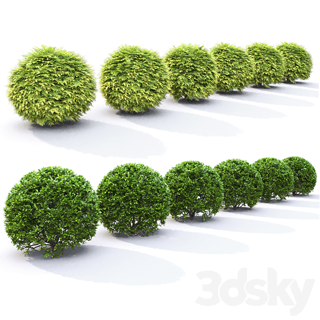 Plant set 3DS Max Model - thumbnail 3