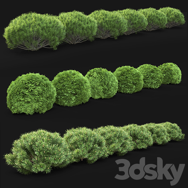 Plant set 3DS Max Model - thumbnail 4