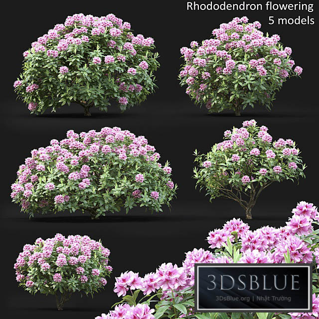 Rhododendron 3DS Max - thumbnail 3