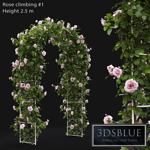 Rose 3DS Max - thumbnail 3