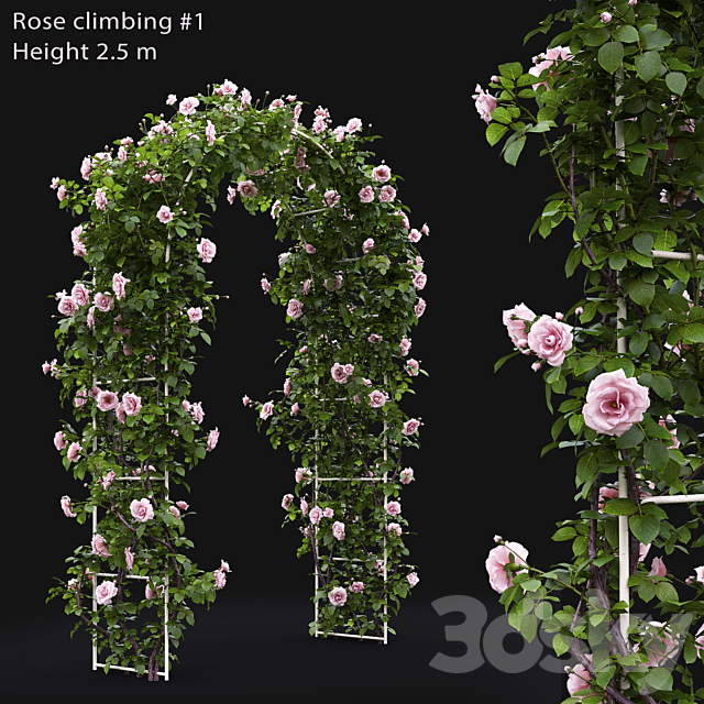 Rose 3DSMax File - thumbnail 1