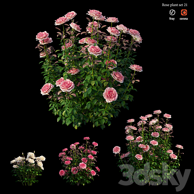 Rose plant set 21 3DS Max Model - thumbnail 2